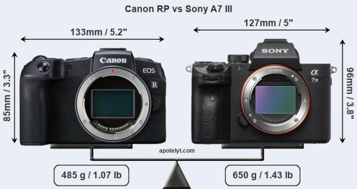 sony a7 mark iii vs canon eos rp